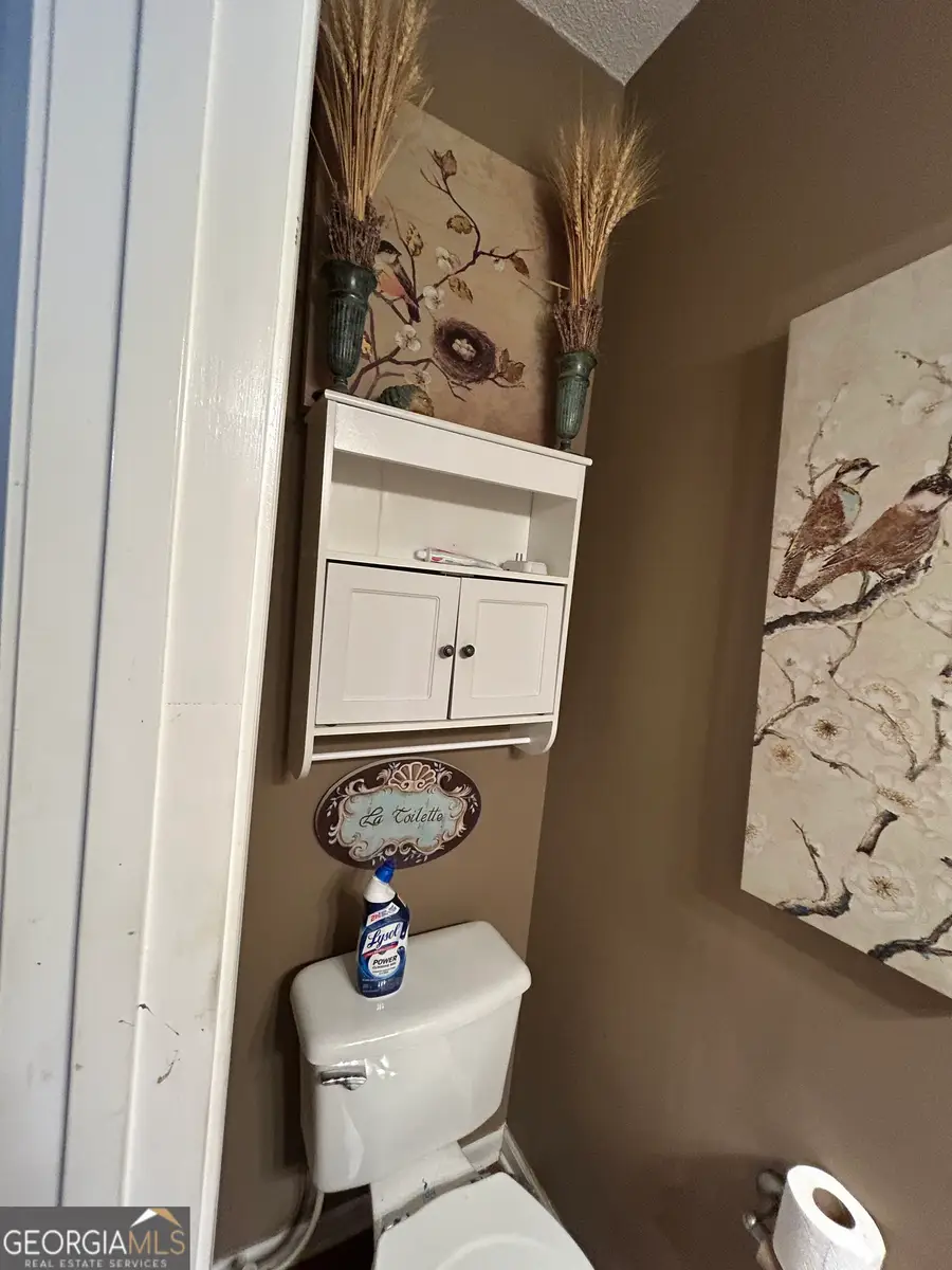 55 Rock Mill Court, Senoia, GA 30276 - #3