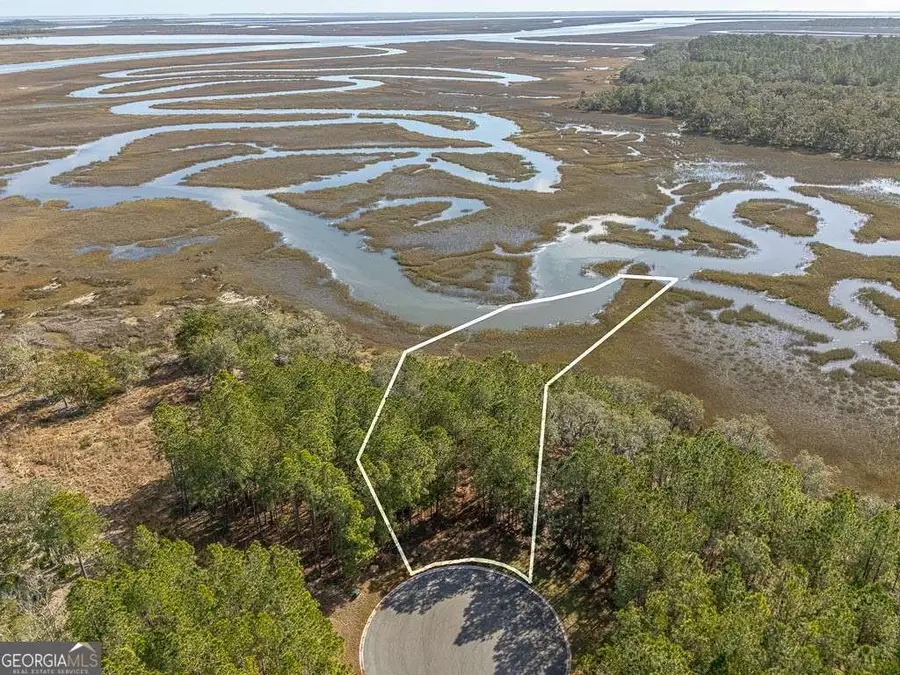 LOTS 121 & 122 Wards Way, Waverly, GA 31565 - #3