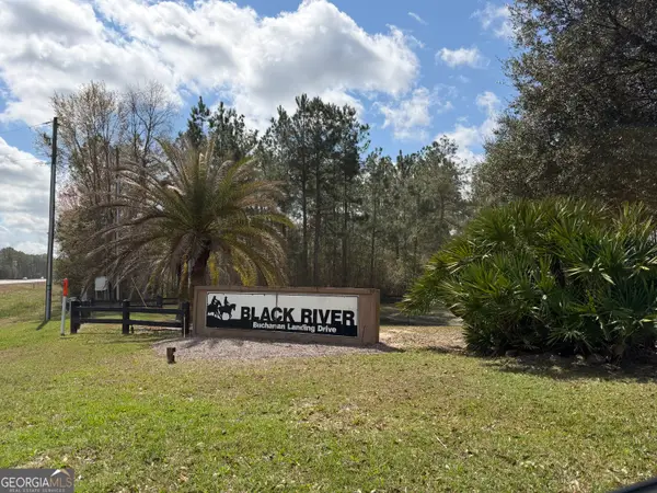 140 Josh And Scott Way, Folkston, GA 31537