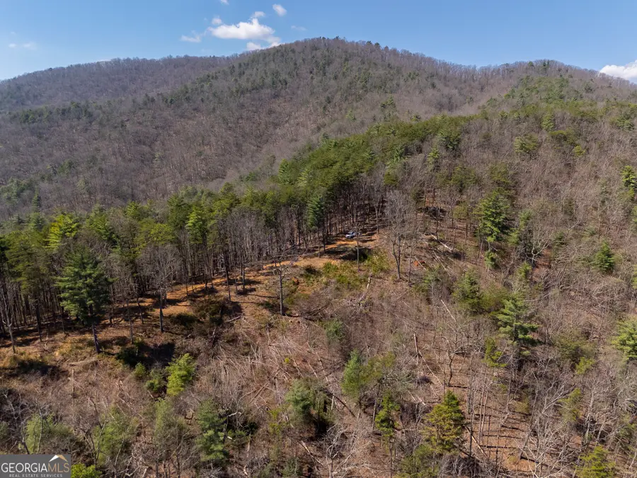 0 Bellflower Place, Helen, GA 30545 - #3