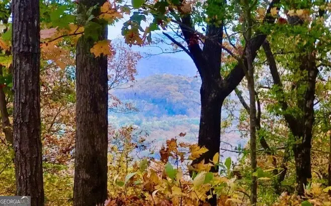 43.91 Old Burnt Mountain Road #PART OF C, Ellijay, GA 30540 - #1