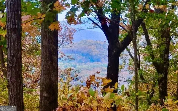 43.91 Old Burnt Mountain Road #PART OF C, Ellijay, GA 30540