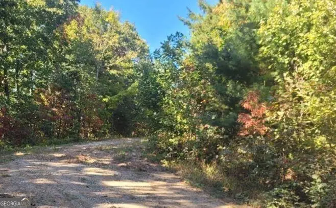 43.91 Old Burnt Mountain Road #PART OF C, Ellijay, GA 30540 - #3