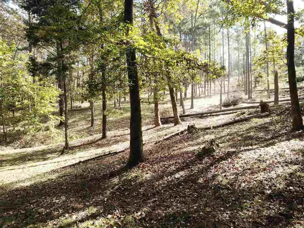 0 Maple Street, Franklin, GA 30217