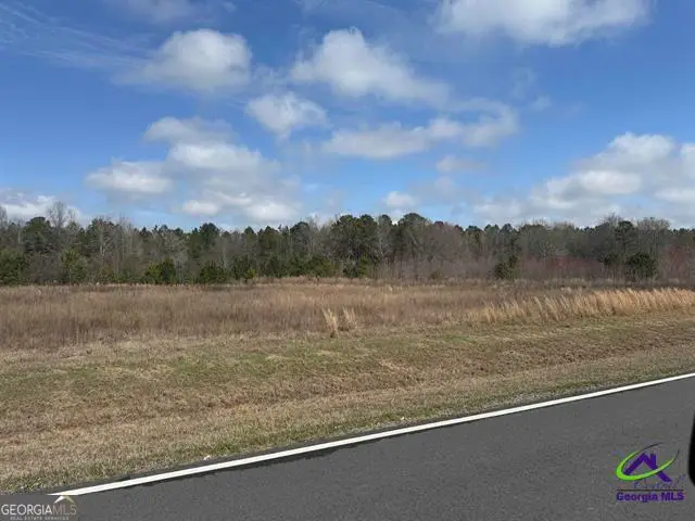 0 Whitfield Road, Elko, GA 31025 - #1