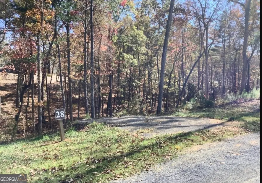 0 Lake Top Ln, Ellijay, GA 30536 - #3