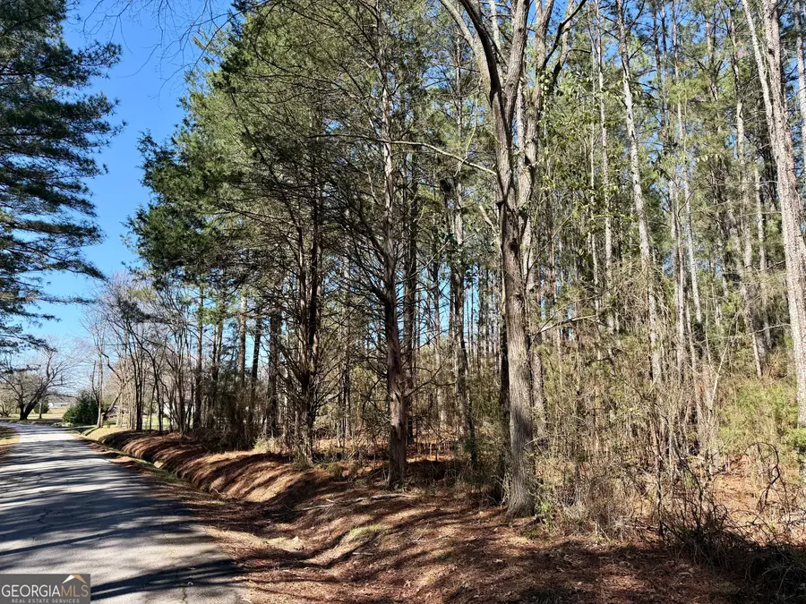 0 Wash Brown Road, Elberton, GA 30635 - #2