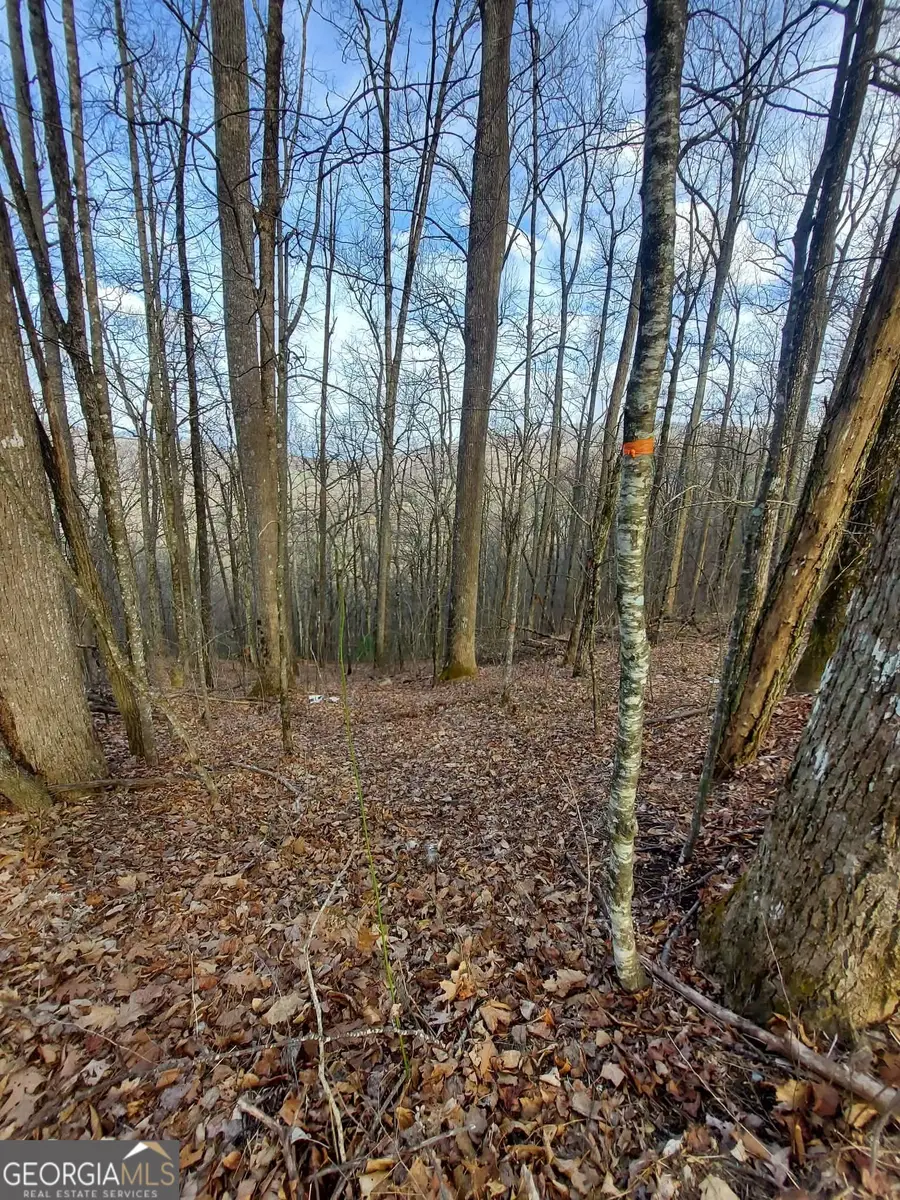 0 LOTS 9 & 9A Wild Bird, Sky Valley, GA 30537 - #3