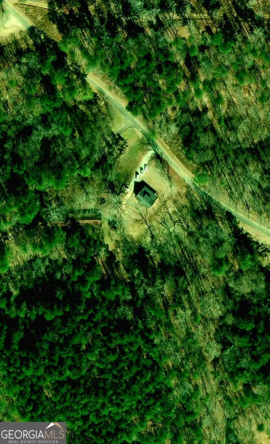 1063 Damascus Road, Ball Ground, GA 30107 - #2