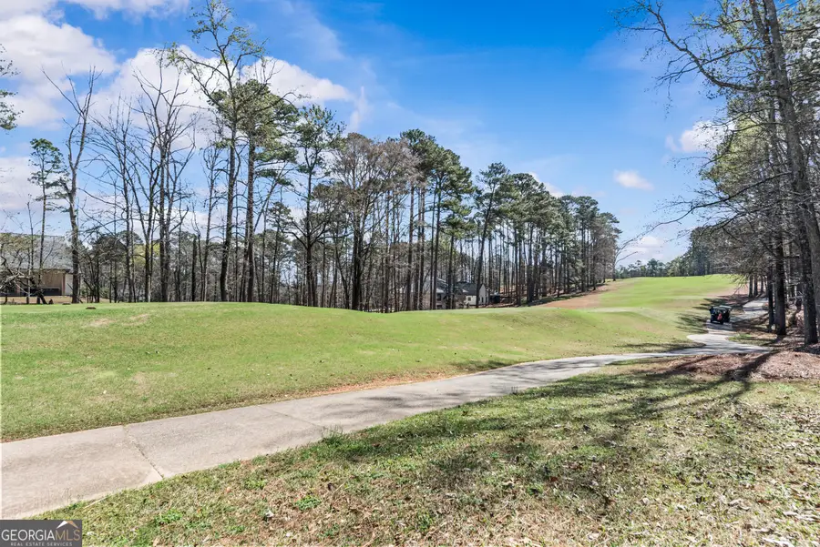 1100 Lake Drive, Greensboro, GA 30642 - #3