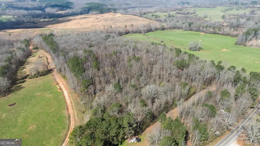 0 Lovvorn Mill Road, Bowdon, GA 30108 - #3