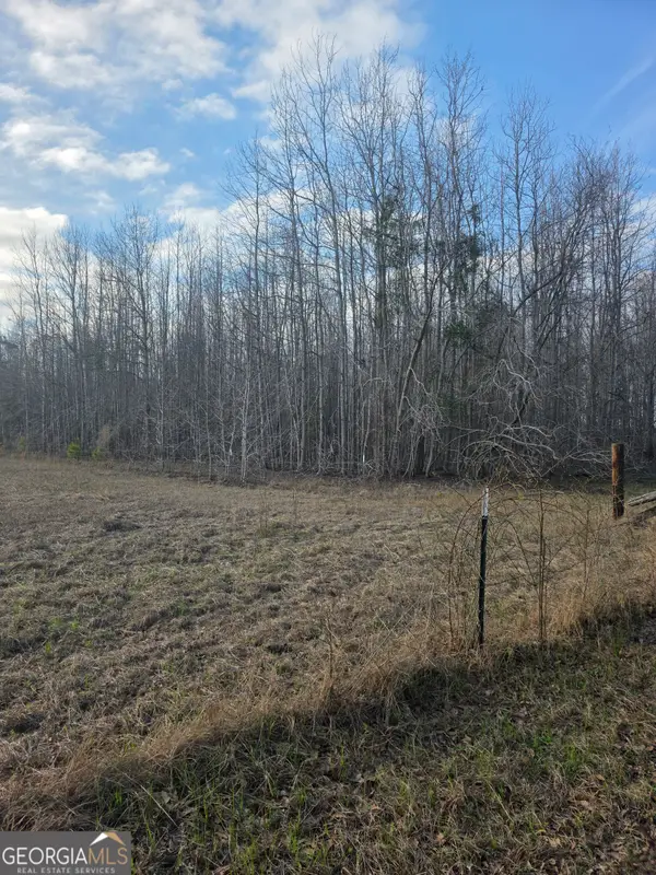 0 Perkins Greenfork Road, Millen, GA 30442