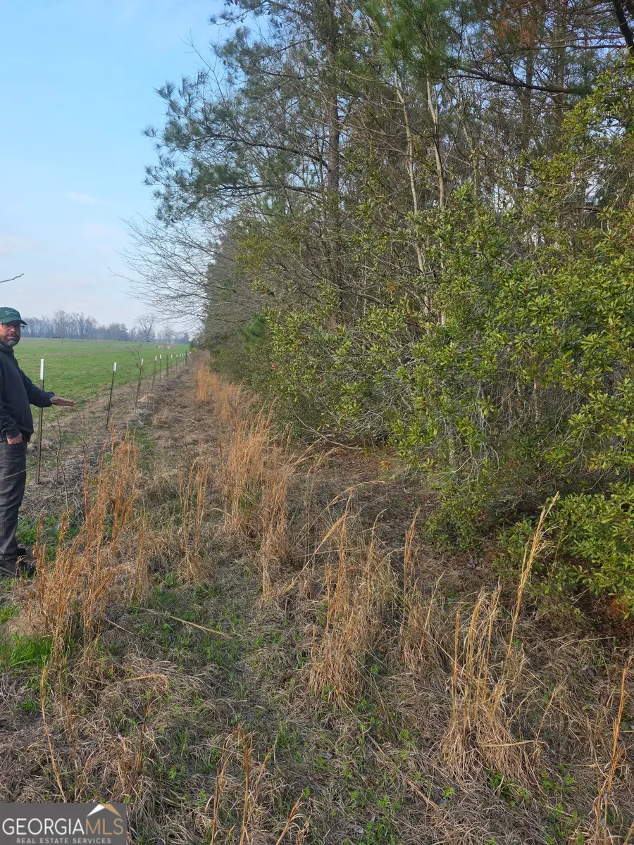 0 Perkins Greenfork Road, Millen, GA 30442 - #2