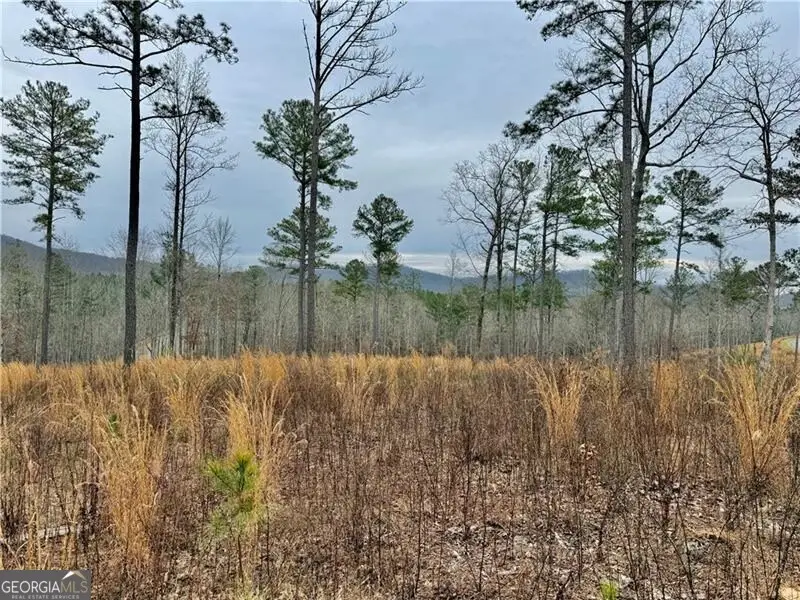 347 Timbercreek Trail, Talking Rock, GA 30175 - #2