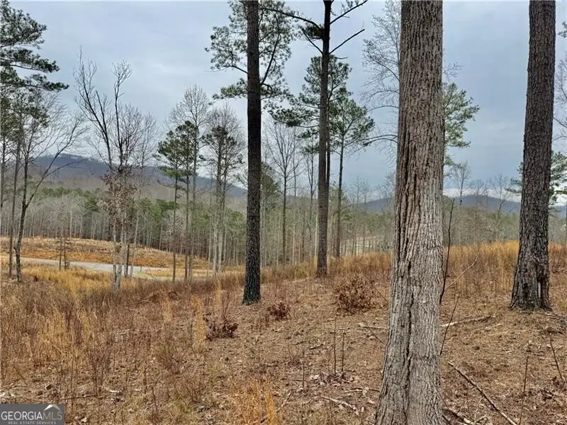 347 Timbercreek Trail, Talking Rock, GA 30175 - #3