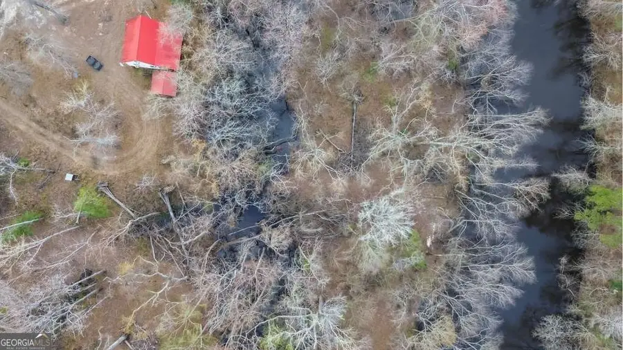 5230 Coleman Bridge Spur, Cobbtown, GA 30420 - #2