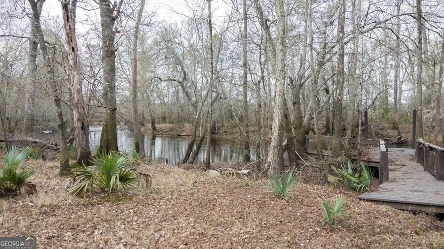 4980 Coleman Bridge Spur Road, Cobbtown, GA 30420 - #2