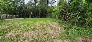 981 Perdue Street, Macon, GA 31206