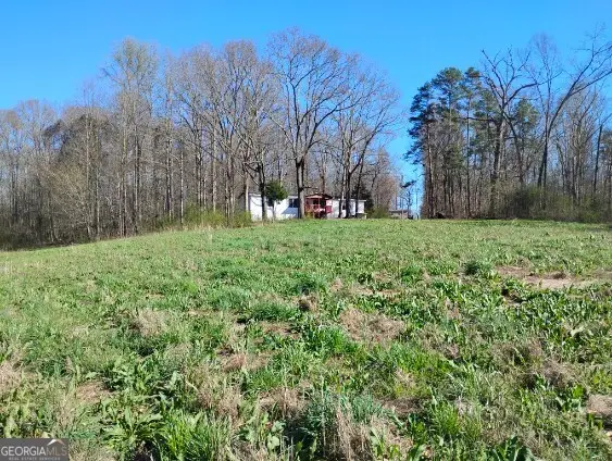 2331 Kesler Rd, Carnesville, GA 30521 - #3