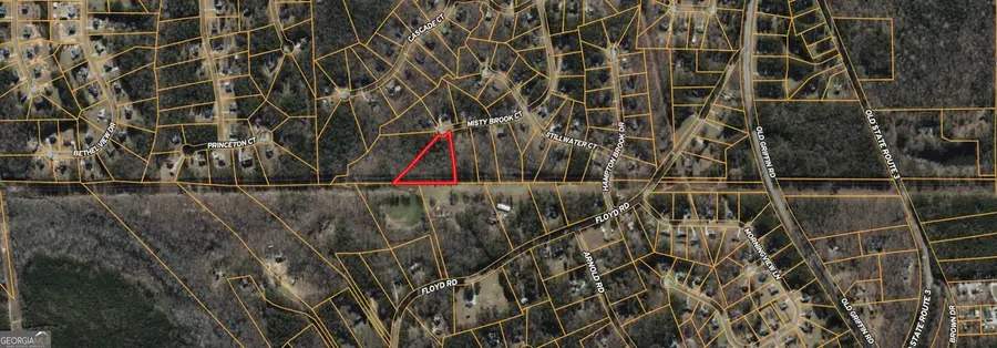 437 Misty Brook Court, Hampton, GA 30228 - #3