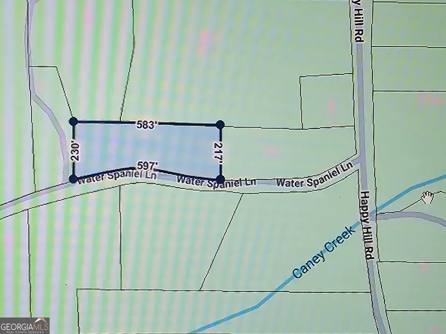 91 Water Spaniel Lane, Carrollton, GA 30116 - #2