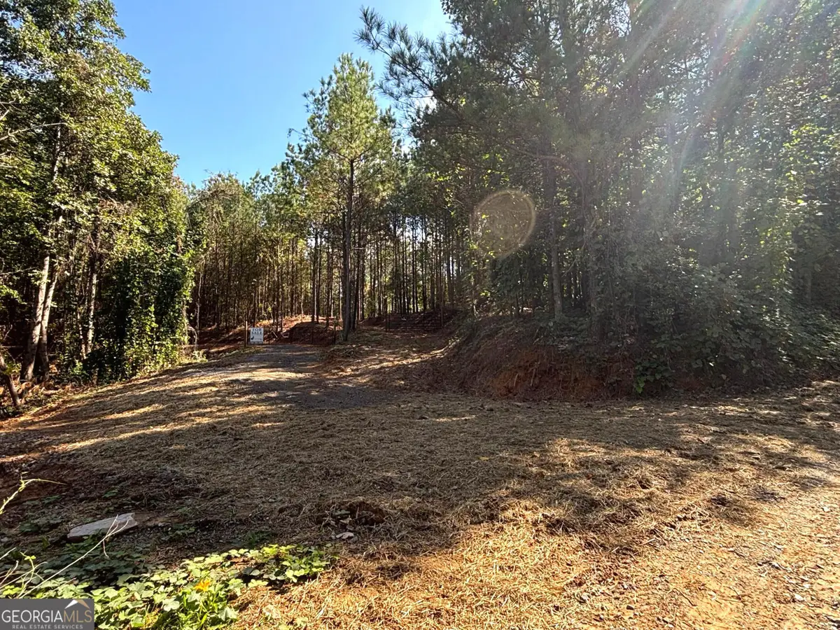 1 EAST Dry Pond Road #LOT 1 EAST, Ranger, GA 30734 - #1