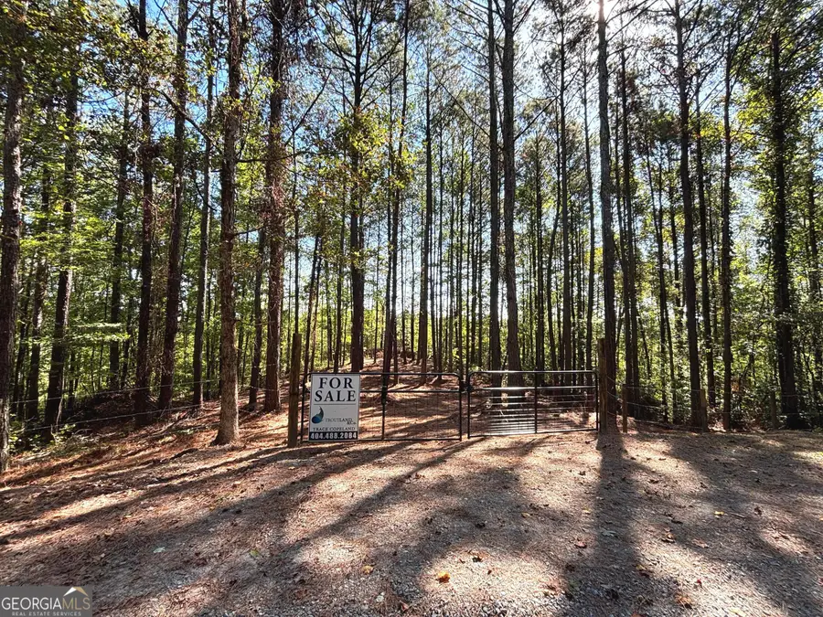 2 EAST Dry Pond Road #LOT 2 EAST, Ranger, GA 30734 - #3