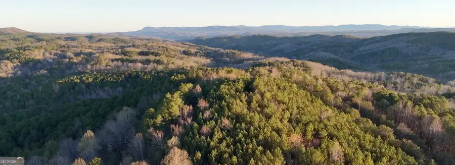 2 WEST Dry Pond Road #LOT 2 WEST, Ranger, GA 30734 - #3
