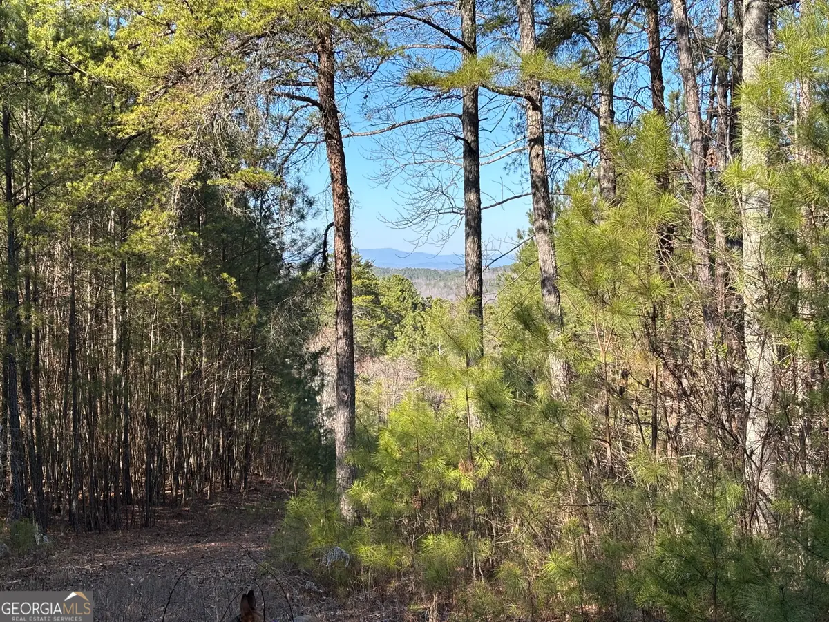 3 WEST Dry Pond Road #LOT 3 WEST, Ranger, GA 30734 - #1