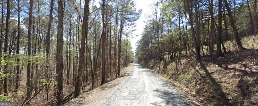 4 WEST Dry Pond Road #LOT 4 WEST, Ranger, GA 30734 - #3