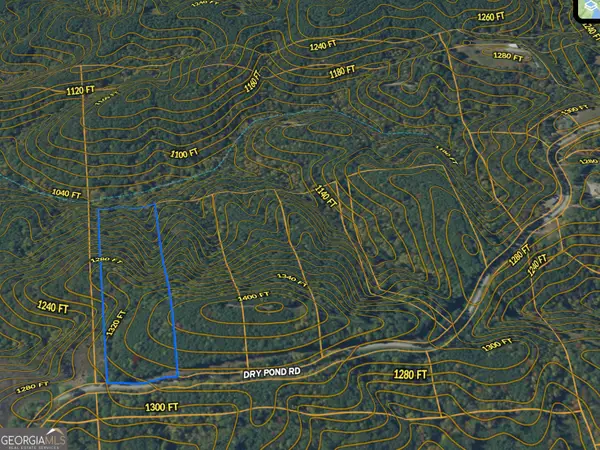 6 WEST Dry Pond Road #LOT 6 WEST, Ranger, GA 30734