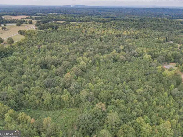 0 Roopville Veal Road, Roopville, GA 30170