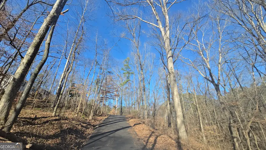 126 Puckett Road Se, Emerson, GA 30137 - #3