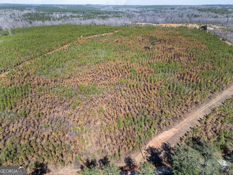 0 Cook Road #TRACT 2, Monticello, GA 31064 - #3