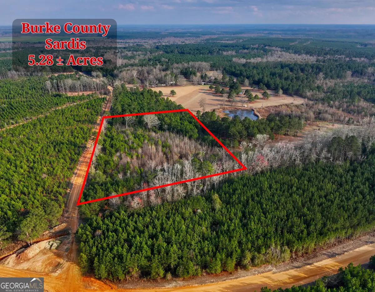 5.04+/- ACRES Joyner Oglesby Road #LOT 1, Sardis, GA 30456 - #1