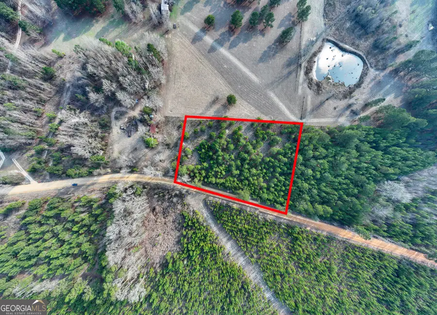 5.26+/- ACRES Joyner Oglesby Road #LOT 2, Sardis, GA 30456 - #3