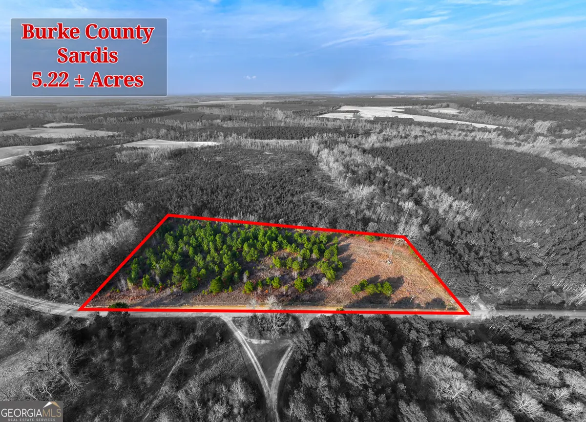 5.22+/- ACRES Joyner Oglesby Road #LOT 4, Sardis, GA 30456 - #1