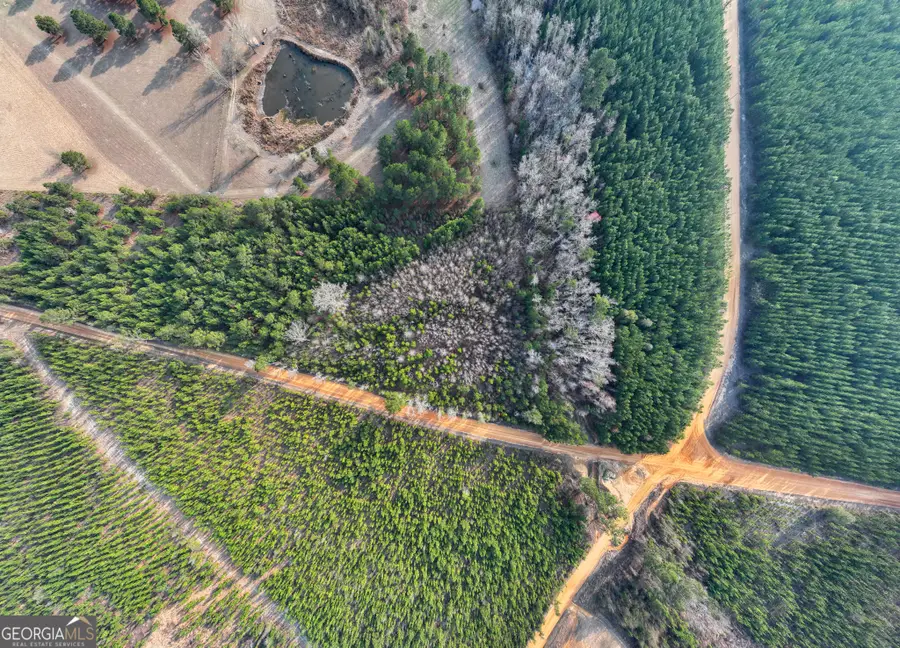 5.22+/- ACRES Joyner Oglesby Road #LOT 4, Sardis, GA 30456 - #3