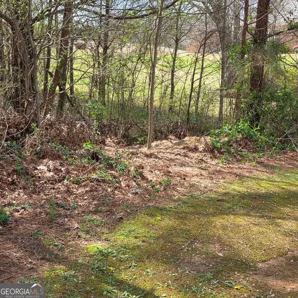 521 Birkdale Boulevard, Carrollton, GA 30116