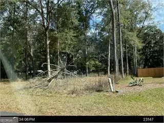 V/L Sabinas Way, Saint Marys, GA 31558 - #1