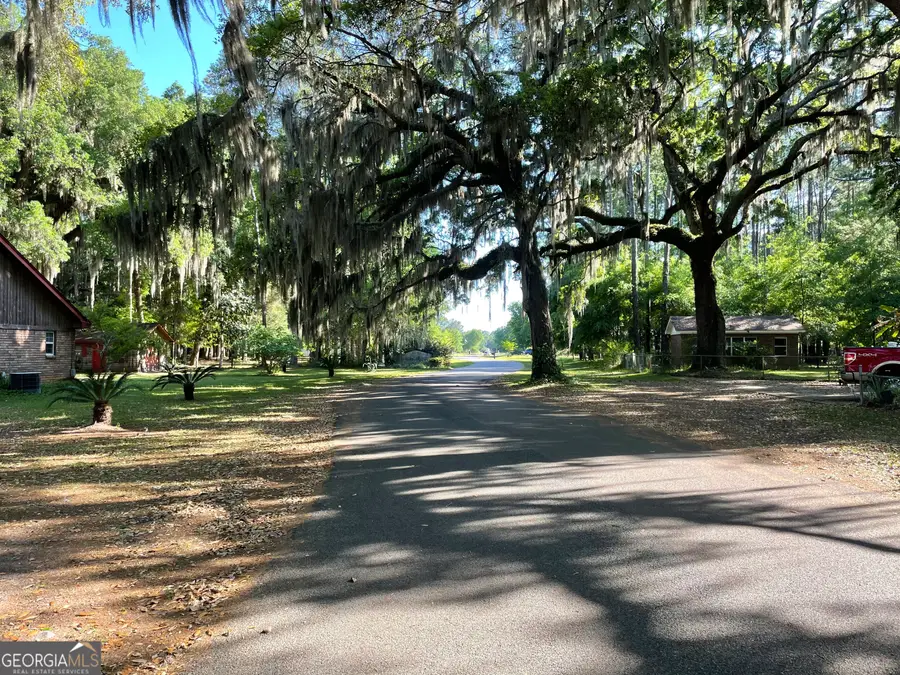 V/L Sabinas Way, Saint Marys, GA 31558 - #3