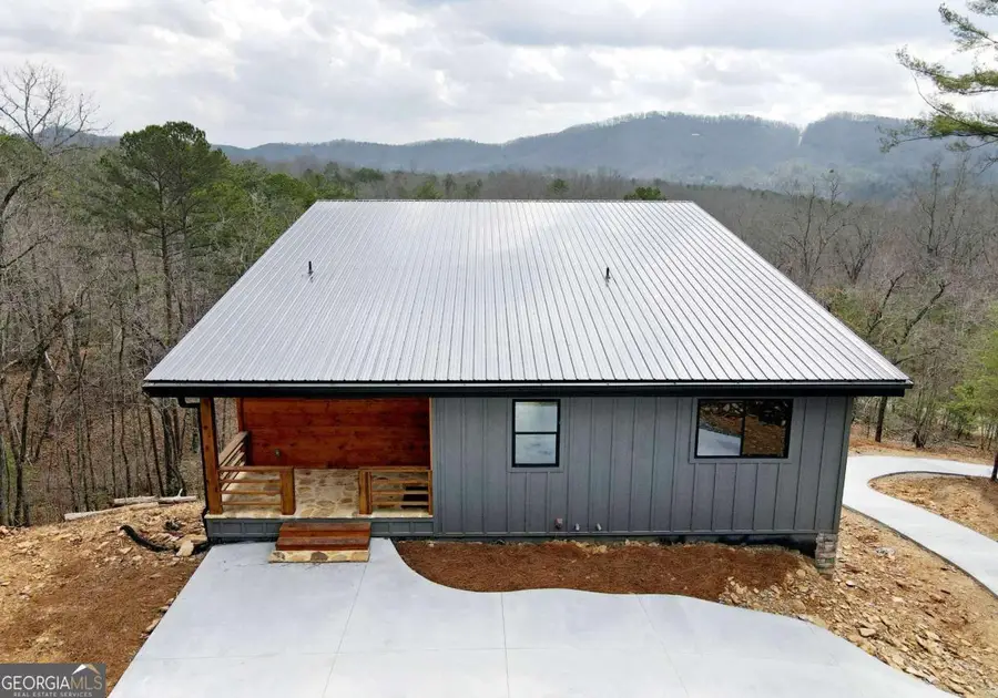 391 Crabapple Lane, Mineral Bluff, GA 30559 - #2