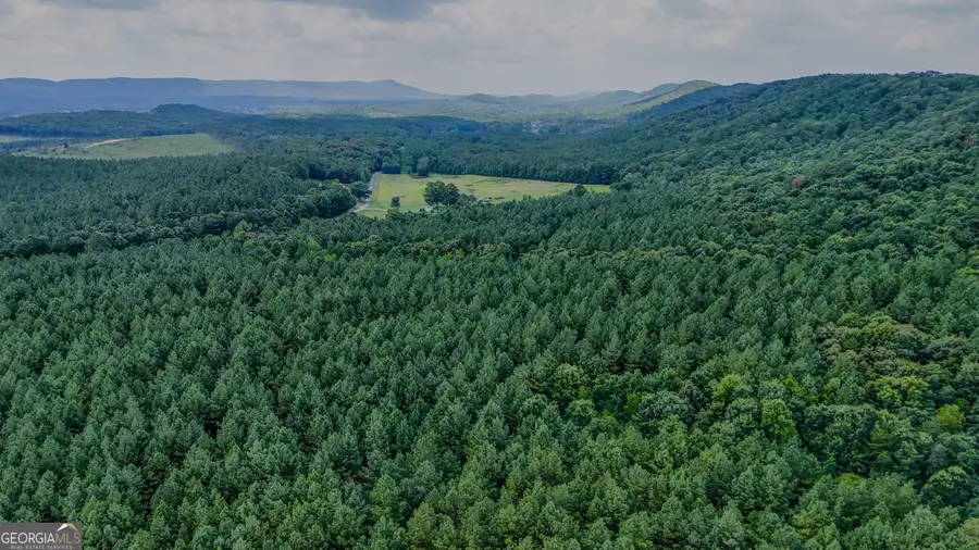 TRACT 3 Back Valley Road, Lyerly, GA 30730 - #3