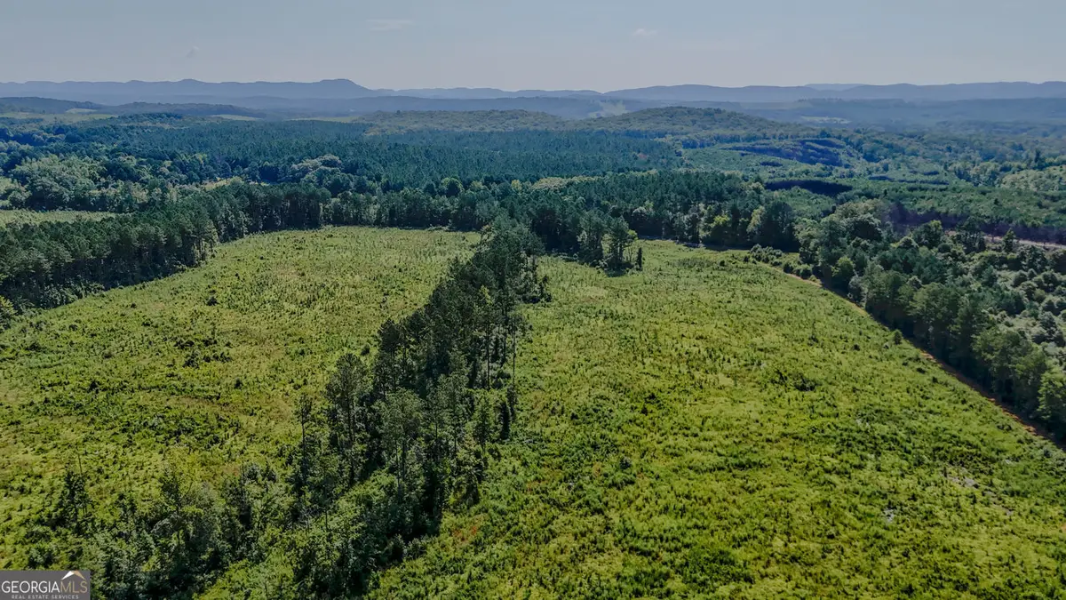 LOT 1 Back Valley Road, Lyerly, GA 30730 - #1