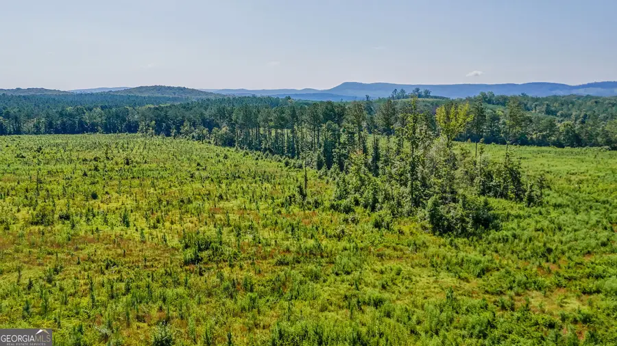 LOT 1 Back Valley Road, Lyerly, GA 30730 - #3