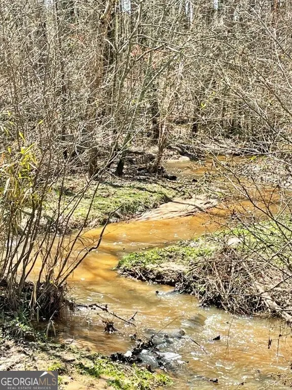 0 Brinkley Road, Barnesville, GA 30204 - #2