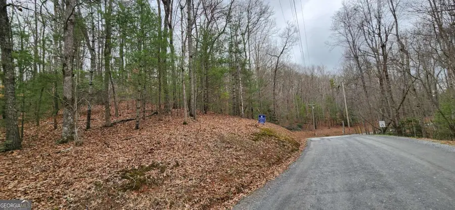 LOT 13 Mangums Trail, Blue Ridge, GA 30513 - #2