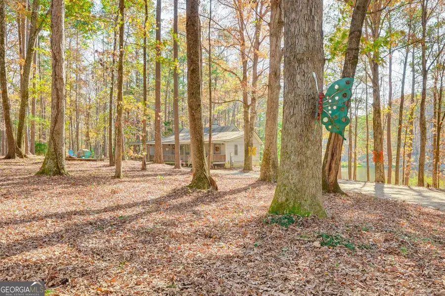 145 Stillwaters Lane, Hamilton, GA 31811 - #3