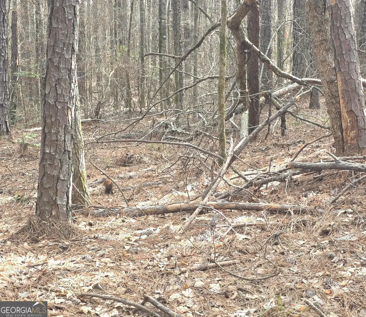 0 White Pine Court, Sparta, GA 31087 - #1