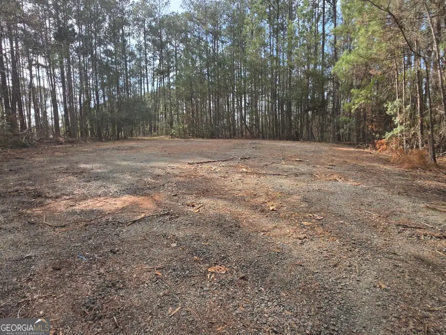 0 White Pine Court, Sparta, GA 31087 - #2